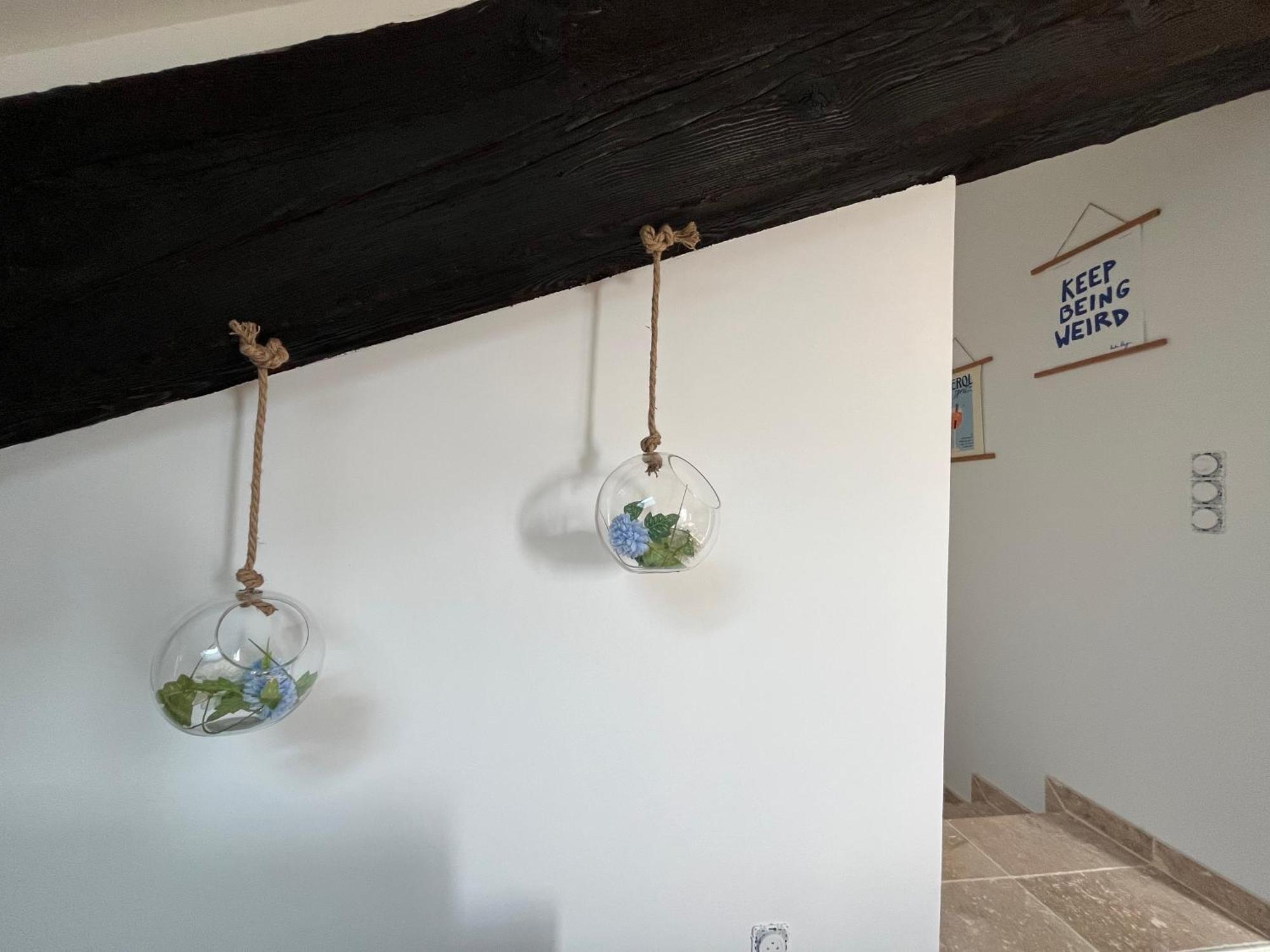 Appartement Louis Xiv, Le Somail. à Ginestas Extérieur photo